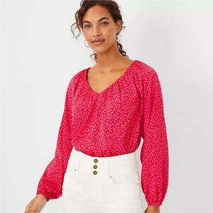 Ann Taylor Leopard Print Pink Red Shirred V Neck Raglon Sleeve Blouse Si…